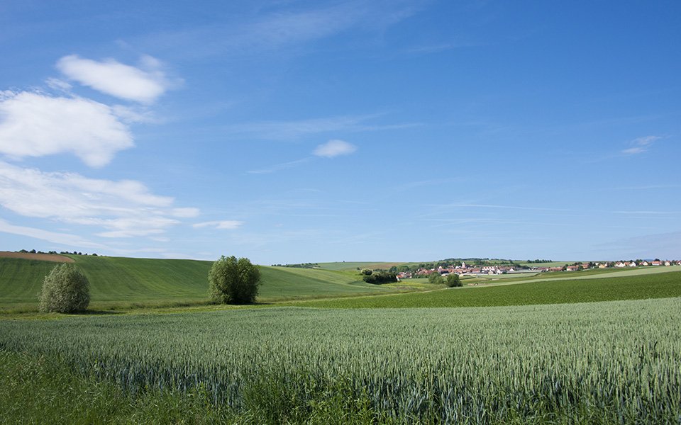 paysage-alsace